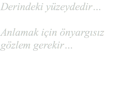 Derindeki yüzeydedir… Anlamak için önyargısız gözlem gerekir…